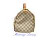 Immagine di LOUIS VUITTON SPEEDY 35