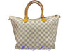 Picture of LOUIS VUITTON SALEYA